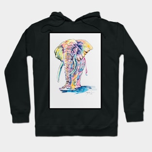 Colorful elephant Hoodie